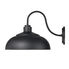 2866-OWL NB-NB_3.jpg